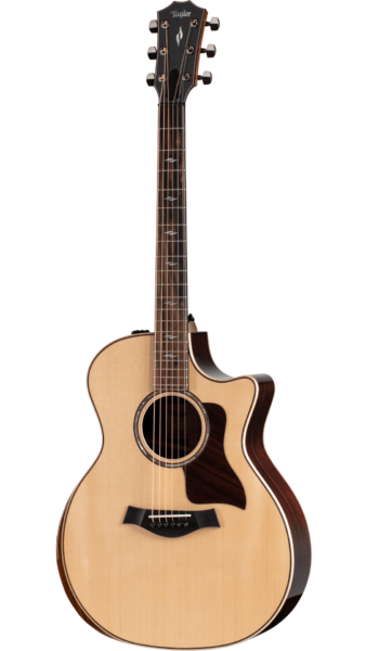 Taylor 814ce acoustic guitar