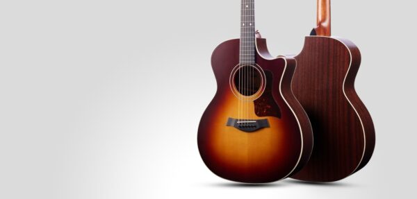 Echoes of Resilience: The Taylor, The Last of Us Replica 314c, and Ellie's Melody