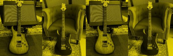 Paul Reed Smith Fiore HH Sunflower