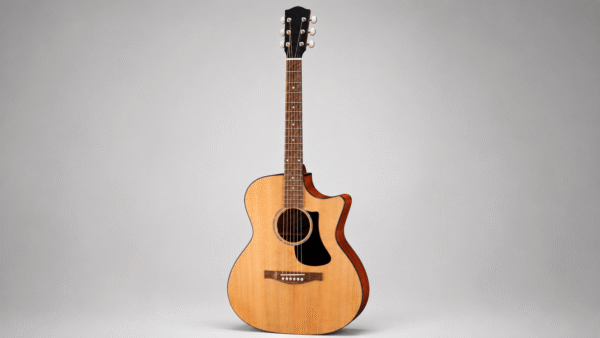 Eastman Guitar